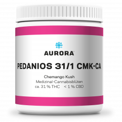 Pedanios 31/1 CMK-CA